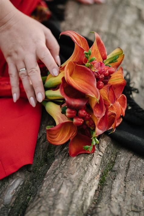 Красные каллы