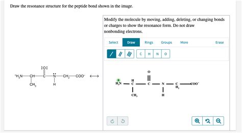 Solved Draw The Resonance Structure For The Peptide Bond Chegg