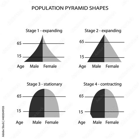 Vetor De Population And Demography Illustration Set Of 4 Types Of