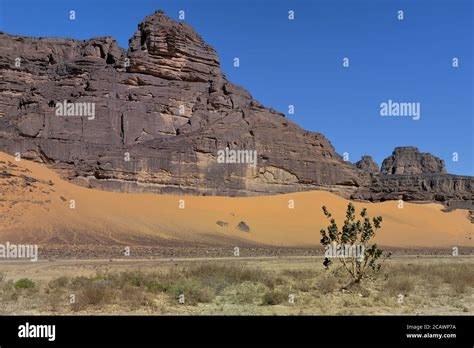 DESERT LANDSCAPE IN SAHARA REGION IN ALGERIA. SAFARI AND ADVENTURE IN ALGERIA Stock Photo - Alamy