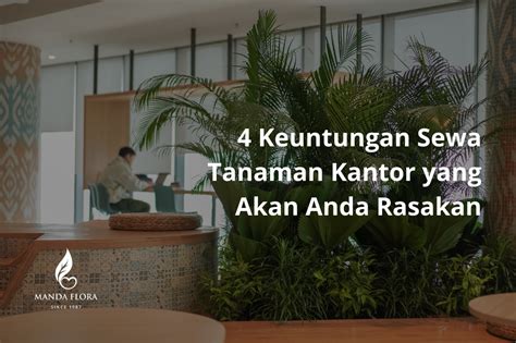 4 Keuntungan Sewa Tanaman Kantor Yang Akan Anda Rasakan