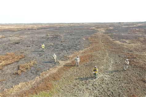 Las Quemas De Pastizales En Las Islas Del Delta Están Prohibidas Desde