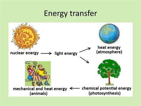 photosynthesis  energy  life powerpoint