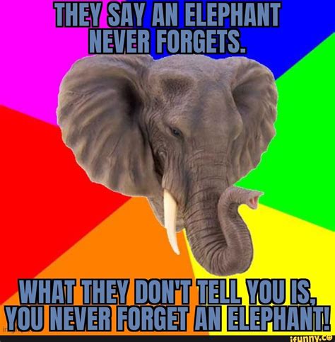 Theyesay An Elephant Never Forgets Ever Ifunny