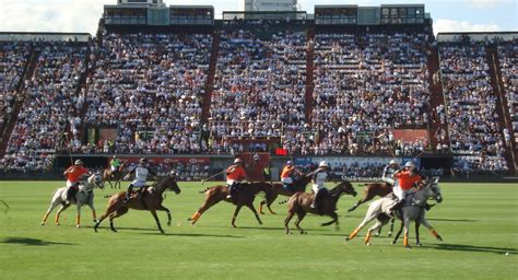 Polo The 2019 Argentine Open Championship My Buenos Aires Travel Guide