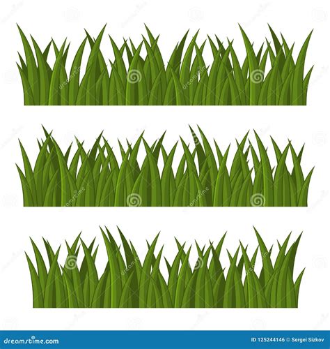 Green Grass Borders Set On White Background Vector Stock Vector Illustration Of Field