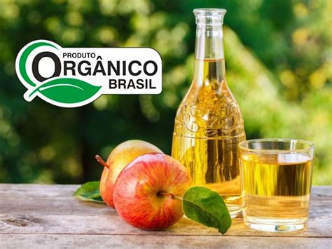 Para Que Serve Vinagre De Maça Organico - Para que Serve Vinagre de Maçã Orgânico e Seus Benefícios - Super Nutrição