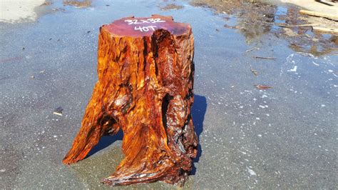 Tree Stump Table Base Options | D.I.Y. Rustic Wood Coffee Tables