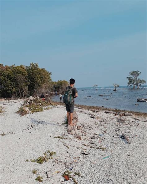 Selama Hari Ini Gue Terdampar Di Pulau Sebuah Pengalaman Seru