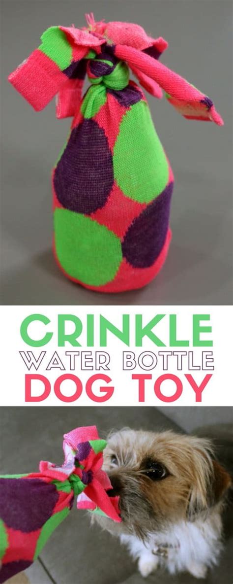 How to Make a Water Bottle Crinkle Dog Toy - The Crafty Blog Stalker