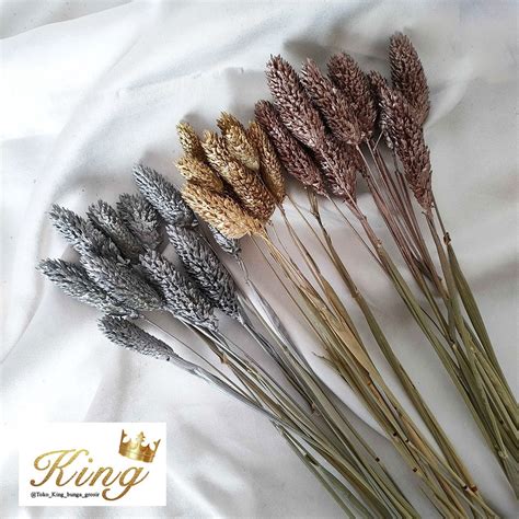 Jual Dried Flower Hiasan Bunga Kering Preserved Flower Dry Flower Dried