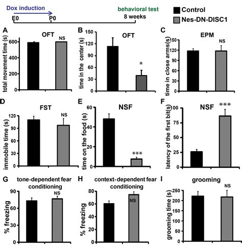 Behavioral Tests On Nes Dn Disc1 Mice Dn Disc1 Is Induced From E0 To