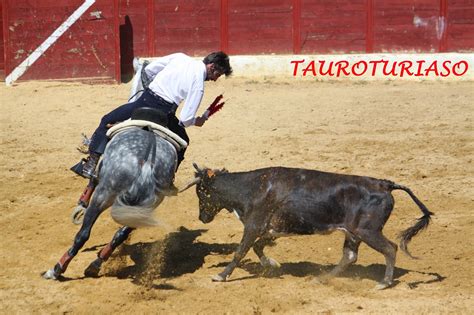 Tauroturiaso Reportaje FotogrÁfico ExhibiciÓn De Rejoneo Roberto