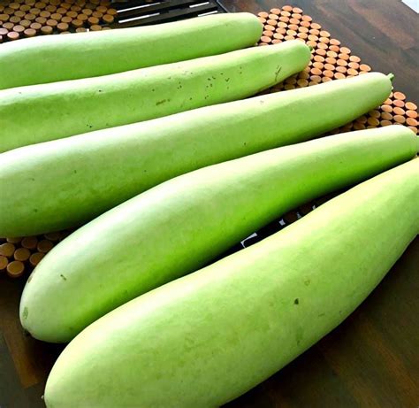 Bottle Gourd Juice ಸೋರೆಕಾಯಿ ಜ್ಯೂಸ್ ಚಳಿಗಾಲದ ಸಮಸ್ಯೆಗೆ ಬೆಸ್ಟ್ ಮನೆಮದ್ದು News18 ಕನ್ನಡ