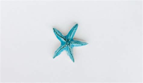 Starfish Magnet Aegean Blue