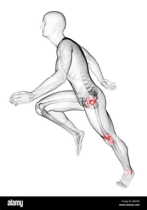 Esqueleto De Corredores Im Genes Recortadas De Stock Alamy