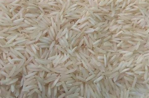 Organic Sharbati Non Basmati Rice Feature High In Protein At Best