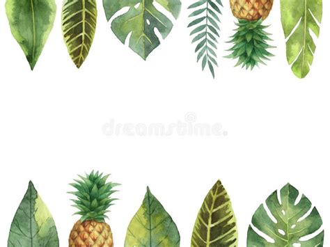 Folhas Tropicais E Ramos Da Bandeira Da Aquarela Isolados No Fundo