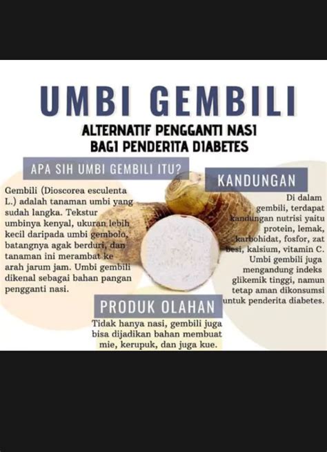 GEMBILI FRESH UMBI TRADISIONAL 1KG Lazada Indonesia