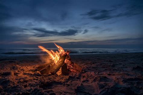 Discover The Secret To Choosing The Best Firewood For Camping