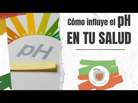 La Importancia Del Ph En El Cuerpo Humano Un An Lisis Detallado Todo