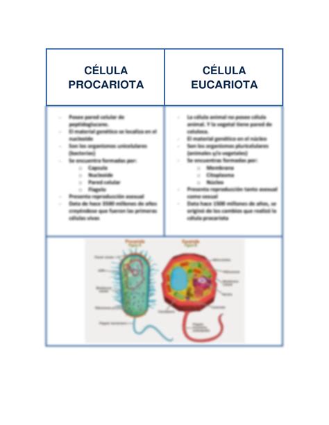 SOLUTION Cuadro Comparativo Celula Procariota Y Eucariota Studypool