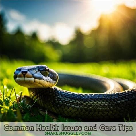 Grass Snake Care: A Complete Guide for Pet Owners