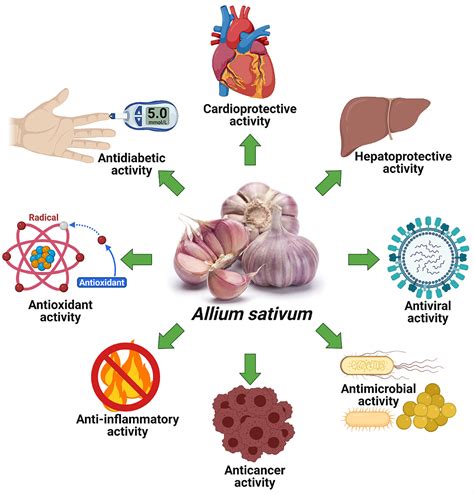 Frontiers Traditional Uses Phytochemistry Pharmacology And