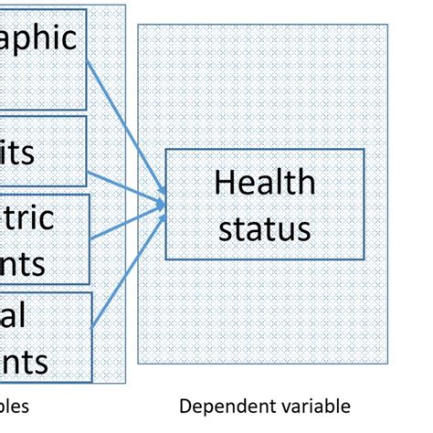 The Conceptual Framework Of The Multinomial Logistic Regression Mlr Download Scientific