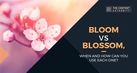 Bloom Vs Blossom When And How Can You Use Each One