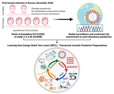 Peering Into Avian Influenza Ah5n8 For A Framework Towards Pandemic