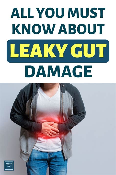 Everything You Need To Know About Leaky Gut Artofit