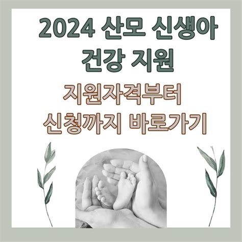 2024 산모 신생아 건강관리 지원사업 총정리 삶의 모든 것