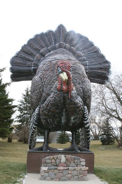 Worlds Largest Turkey Flickr Photo Sharing