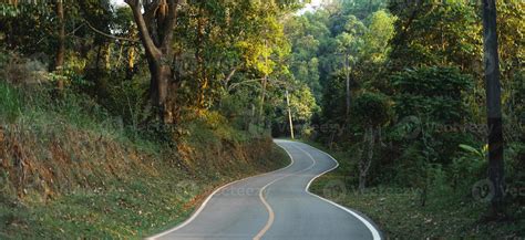 rural village roads and summer green trees 6910253 Stock Photo at Vecteezy