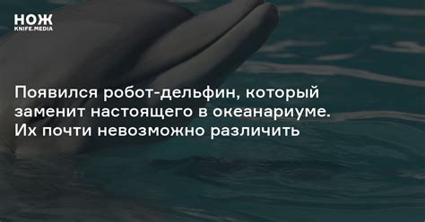 Появился робот-дельфин, который заменит настоящего в океанариуме. Их ...