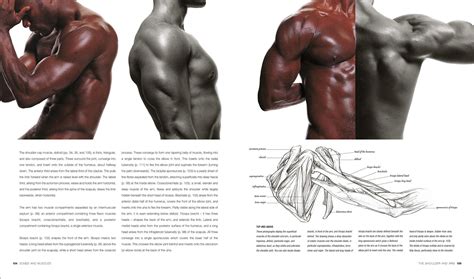 Anatomy For The Artist Sarah Simblet Dorling Kindersley