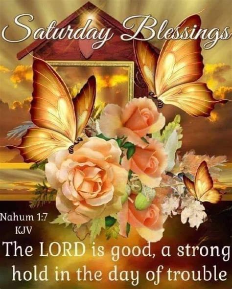 Golden Butterfly Saturday Blessings Pictures Photos And Images For