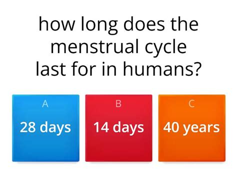 Menstrual Cycle Quiz