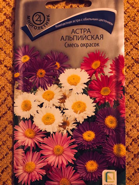 Астра альпийская многолетняя. Насколько цветы отличаются от картинки на ...