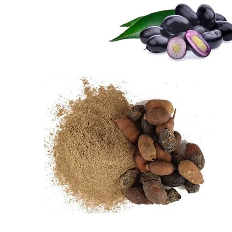 Jamun seed Powder Benefits: Top Benefits of Jamun seed Powder ...