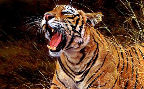 Gambar Harimau Terbaru | Kumpulan Gambar