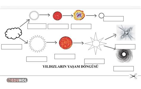 Yıldızların Yaşam Döngüsü Eduhol Etkinlik İndir Oyun Oyna Test