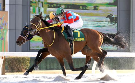 【名古屋大賞典2023予想】傾向から川田騎手の3日連続重賞vは？ 名古屋2000m＆過去10年のレース結果1～3着馬データ一覧競馬予想