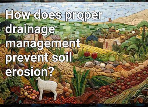 How Does Proper Drainage Management Prevent Soil Erosion Agriculture