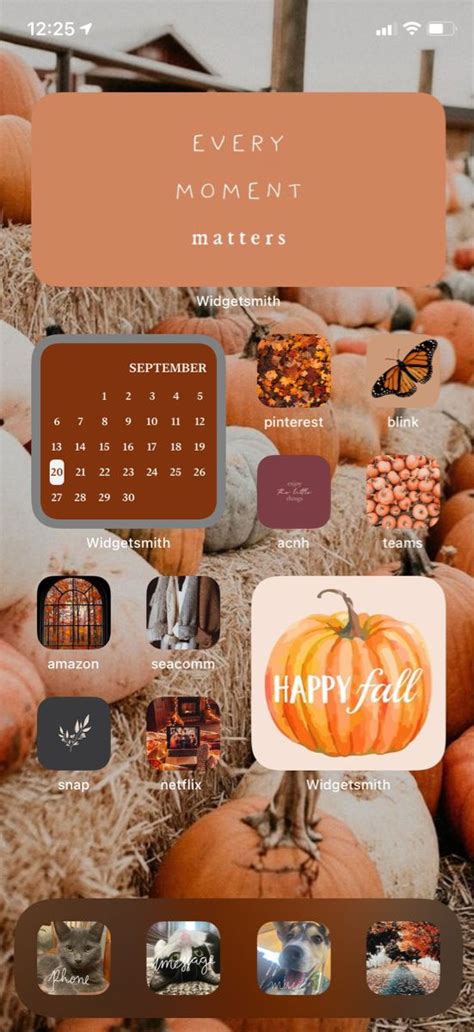 Aesthetic Fall Ios Home Screen Ideas Pumpkin Brown Purple I Take