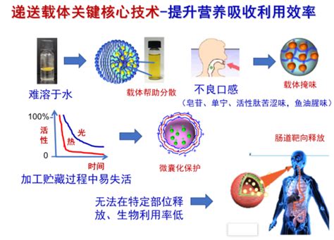 纳米载体促进功能因子肠道吸收精准靶向递送技术 内蒙古电子商务促进会