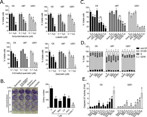 A Viability Of C6 U87 And U251 Glioma Cell Lines After 72 H