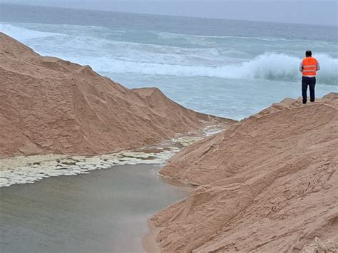 Odemira Promove Atividades De Sensibiliza O Ambiental R Dio Mir Briga