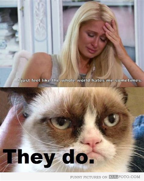 Grumpy Cat Quotes Titanic Quotesgram